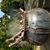 Laura Dana's profile image
