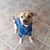 Heather Warren's profile image