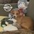 Sharon McZeal's profile image