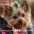 Roxann Patzman's profile image