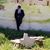 Nicholas Balcazar's profile image