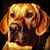 Jen Butler's profile image
