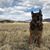 Chris Moseman's profile image