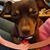 Carolyn Ann's profile image
