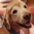 Lynn Ishman's profile image