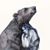 Alicia A. Rammel's profile image