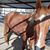 Brenda Wright Szilagyi's profile image