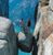 Mark Curtis's profile image