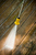 John B.'s profile image