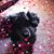 Nancy Lund's profile image
