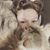 Erica Bierman's profile image