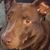 Donna Nolen Brooks's profile image