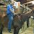 Armando Bernardino's profile image