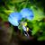 Michelle Millsaps's profile image