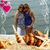 DeeDee Vandiver's profile image
