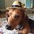 Dusti Rhodes's profile image