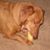 Carolyn Cole's profile image