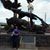 Susan Pate's profile image