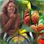 Molly Parish's profile image