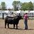AJ Blohm's profile image