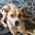 Kristin Ertl-Novick's profile image