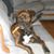 Kellie McCann Robles's profile image