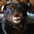 Jan Knudson's profile image