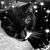 Monica Susan Walton's profile image
