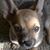Ramona Harris's profile image