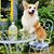 Donna Proe-Sullivan's profile image