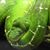 Isa Dom LF Felder's profile image