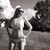 Heather Marshall's profile image