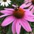 LeeAnn M Caswell Saunders's profile image