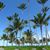 Vickie Ferrante's profile image