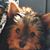 Sandra Collins's profile image