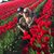 Gina Leno Angulo's profile image