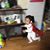 Chunghwa Park's profile image