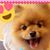 DuRaae Davis's profile image