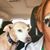 Kelly Jean Paurowski's profile image