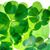 Kelley Shaffer Spotz's profile image