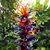 Cindy Anderson's profile image