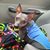 Michelle Bichsel's profile image
