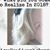 Nancy Adams Hillard's profile image