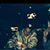 Cedric Herve's profile image