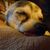 Bonnie Douglas's profile image