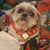 Deanna Morin's profile image
