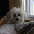 Amy Mimi DeVoe's profile image