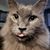 Debbie Caines's profile image