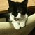 Sheila Wetzel's profile image