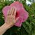 Diane Thayer Jenkins's profile image